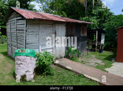 Vieux métal et hangar en bois trouvés en République Dominicaine dans la jungle. Il y a un baril de pluie utilisé pour recueillir de l'eau. Banque D'Images