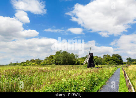 Sentier à travers Wicken Fen, une réserve naturelle des zones humides près de Wicken, Cambridgeshire, Angleterre, RU Banque D'Images