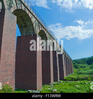 De l'eau grand Viaduc de La Flotte, flotte, Flotte de Cairnsmore Valley National Nature Reserve, Dumfries et Galloway, Écosse, Royaume-Uni Banque D'Images