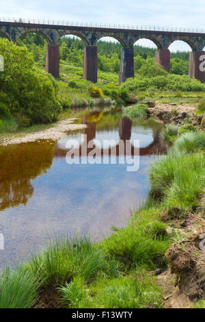 De l'eau grand Viaduc de La Flotte, flotte, Flotte de Cairnsmore Valley National Nature Reserve, Dumfries et Galloway, Écosse, Royaume-Uni Banque D'Images