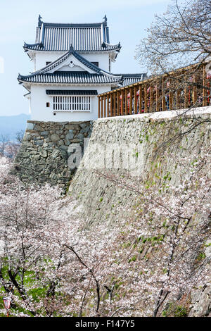 Le Japon, le Château de Tsuyama. Le niveau deux Bitchu Yagura, bitchu watchtower, tourelle, sur le bord d'élévation au sommet de l'Île Ishigaki honmaru mur de pierre. Ciel bleu. Banque D'Images