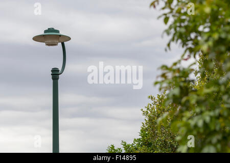 La lumière de la rue vu sur un jour nuageux avec des arbres en premier plan. Brisbane, Queensland, Australie. Banque D'Images