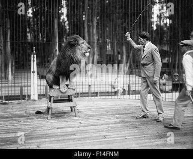 Années 1920 Années 1930 MAN LION TAMER EN CAGE AVEC FORMATION LION AVEC WHIP BATON Banque D'Images