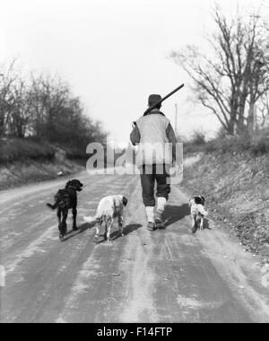 1930 MAN HUNTER SHOTGUN OVER SHOULDER WALKING DOWN COUNTRY LANE avec trois chiens de chasse Banque D'Images