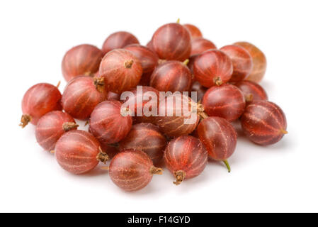 Tas de groseille rouge isolated on white Banque D'Images