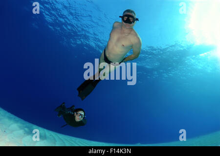 Mer Rouge, Egypte. 15 Oct, 2014. Plus de nage apnéiste le sable, Mer Rouge, Egypte © Andrey Nekrasov/ZUMA/ZUMAPRESS.com/Alamy fil Live News Banque D'Images