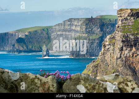 Les falaises de Moher le long de la manière sauvage de l'Atlantique sur la côte ouest de l'Irlande Banque D'Images