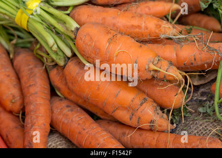Bouquet de tous les produits de marché de producteurs de carottes sur toile de chanvre Banque D'Images