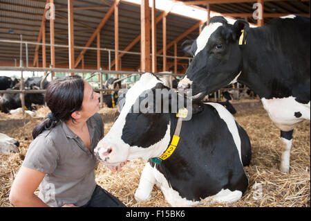 Trebel, Allemagne, Monika Wildt en vaches laitières dans la grange de leur ferme Banque D'Images