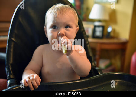 Un bébé 11 mois assis sur une chaise haute de manger une tranche de pomme. Banque D'Images