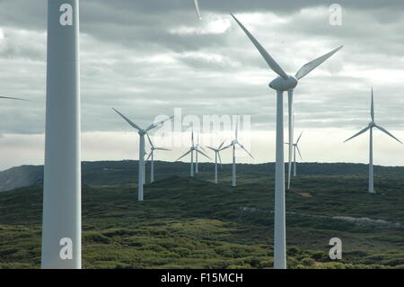 Éoliennes Banque D'Images