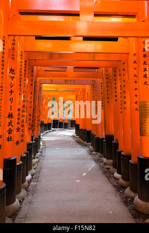 Torii Gates à Fushimi Inari Taisha, Fushimi, Kyoto, région du Kansai, Japon Banque D'Images