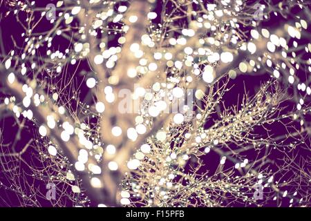 Lumières de Noël en fond de classement de couleur pourpre. Les lumières de Noël arrière-plan. Banque D'Images