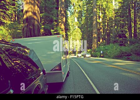 RV à Redwood Forest. Voyage RV en Californie du Nord. Roulottes de voyage tiré par SUV sur le côté de la Redwood Road. United State Banque D'Images