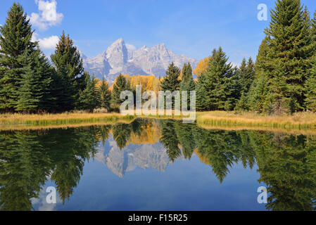 L'atterrissage et Schwabacher Teton mountain range en automne, Snake River, Jackson Hole, dans le Parc National de Grand Teton, Wyoming, USA Banque D'Images