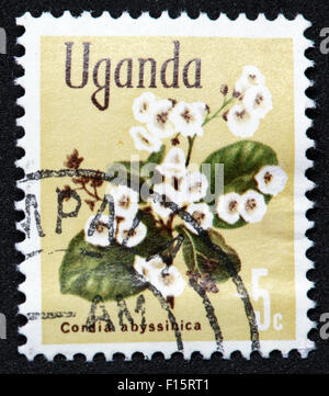 L'Ouganda 5c fleur usine Condia abyssinica Stamp Banque D'Images