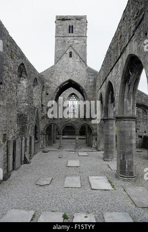 Abbaye de Sligo (Mainistir Rivière du Rempart), Sligo, Irlande Banque D'Images