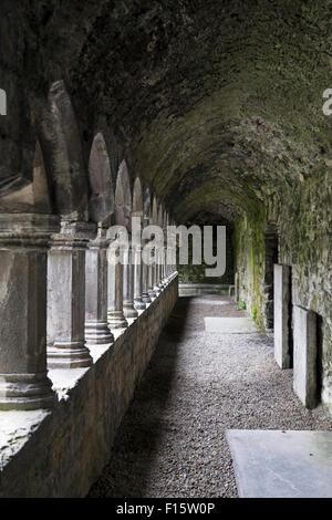 Abbaye de Sligo (Mainistir Rivière du Rempart), Sligo, Irlande Banque D'Images