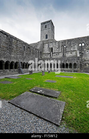 Abbaye de Sligo (Mainistir Rivière du Rempart), Sligo, Irlande Banque D'Images