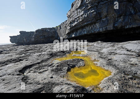 Les falaises côtières avec bassin de marée sur la côte rocheuse, les îles d'Aran, République d'Irlande Banque D'Images