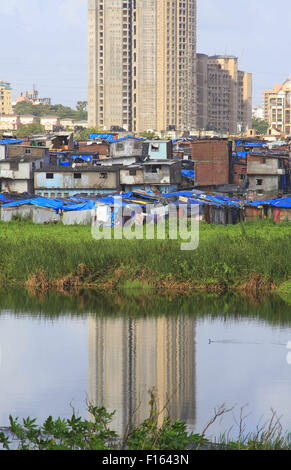 Mumbai, New Delhi, Inde. Août 21, 2015. 21 Aug 2015, Mumbai - INDE :.Un bidonville illégal non autorisée pocket commence à croître et construit à un marais à Mumbai tuant le riche bio-diversité trouvée dans les régions marécageuses et marécageux autour de Mumbai. Les marais et les Mangroves, si déclaré comme terres forestières et protégée en vertu de la loi, est le plus rapide des parcelles envahies de Mumbai avec les promoteurs envisagent un énorme potentiel de développement pour une population sans cesse croissante dans les zones urbaines de l'Inde. © Subhash Sharma/ZUMA/Alamy Fil Live News Banque D'Images