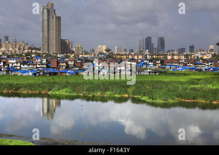 Mumbai, New Delhi, Inde. Août 21, 2015. 21 Aug 2015, Mumbai - INDE :.Un bidonville illégal non autorisée pocket commence à croître et construit à un marais à Mumbai tuant le riche bio-diversité trouvée dans les régions marécageuses et marécageux autour de Mumbai. Les marais et les Mangroves, si déclaré comme terres forestières et protégée en vertu de la loi, est le plus rapide des parcelles envahies de Mumbai avec les promoteurs envisagent un énorme potentiel de développement pour une population sans cesse croissante dans les zones urbaines de l'Inde. © Subhash Sharma/ZUMA/Alamy Fil Live News Banque D'Images