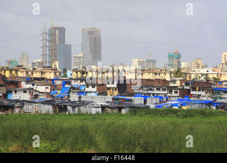 Mumbai, New Delhi, Inde. Août 21, 2015. 21 Aug 2015, Mumbai - INDE :.Un bidonville illégal non autorisée pocket commence à croître et construit à un marais à Mumbai tuant le riche bio-diversité trouvée dans les régions marécageuses et marécageux autour de Mumbai. Les marais et les Mangroves, si déclaré comme terres forestières et protégée en vertu de la loi, est le plus rapide des parcelles envahies de Mumbai avec les promoteurs envisagent un énorme potentiel de développement pour une population sans cesse croissante dans les zones urbaines de l'Inde. © Subhash Sharma/ZUMA/Alamy Fil Live News Banque D'Images