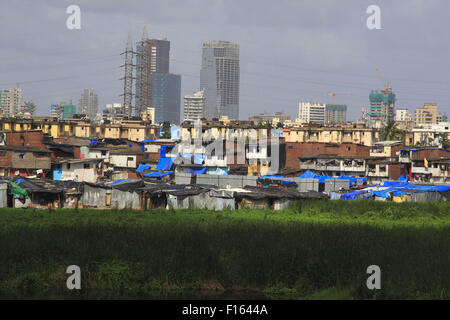 Mumbai, New Delhi, Inde. Août 21, 2015. 21 Aug 2015, Mumbai - INDE :.Un bidonville illégal non autorisée pocket commence à croître et construit à un marais à Mumbai tuant le riche bio-diversité trouvée dans les régions marécageuses et marécageux autour de Mumbai. Les marais et les Mangroves, si déclaré comme terres forestières et protégée en vertu de la loi, est le plus rapide des parcelles envahies de Mumbai avec les promoteurs envisagent un énorme potentiel de développement pour une population sans cesse croissante dans les zones urbaines de l'Inde. © Subhash Sharma/ZUMA/Alamy Fil Live News Banque D'Images