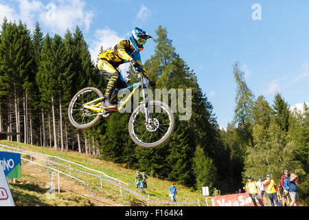 Val di Sole, Italie - 22 août 2015 : la gravité de l'équipe Lapierre République Vergier Loris, en action pendant la descente finale élite mens à l'UCI Coupe du Monde Vtt à Val di Sole, Trento, Italie Banque D'Images