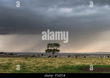 Approche de l'orage sur la baie de Morecambe, Silverdale Lancashire UK Banque D'Images