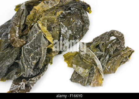 Image de l'algue sèche appelée enchevêtrement ou Oarweed (Laminaria digitata) qui est comestible. L'accent sur la moitié inférieure de l'image. Banque D'Images
