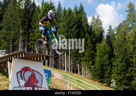 Val di Sole, Italie - 22 août 2015 : Les composants de l'équipe usine Bergamont Hayes, Rider Chapman, Rupert en action au cours de la mens Banque D'Images
