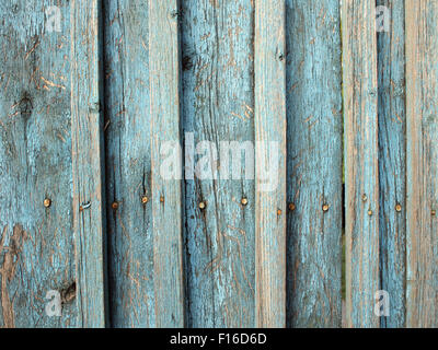 Fragment d'une vieille clôture en bois faites de planches avec les restes de peinture bleu et de clous rouillés pour utiliser comme arrière-plan ou wallpape Banque D'Images