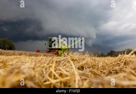 Hamm, Allemagne, la récolte des grains juste avant une tempête Banque D'Images