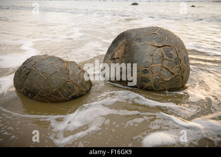 Moeraki Boulders sur Otago Peninsula Banque D'Images