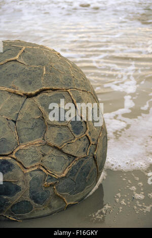 Moeraki Boulders sur Otago Peninsula Banque D'Images