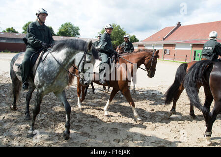 Duisburg, Allemagne. Août 28, 2015. Canada sur leurs chevaux à un terrain d'entraînement à Willich, Allemagne, 28 août 2015. Les escadrons de la police montée de Dortmund et de Düsseldorf sont à être mises en commun à Bochum. PHOTO : FEDERICO GAMBARINI/DPA/Alamy Live News Banque D'Images