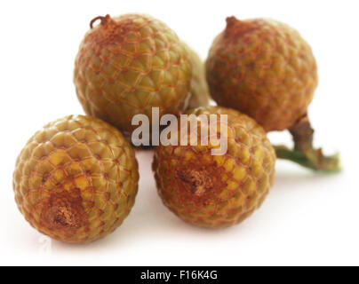 Calamus Tropical fruits de palmier sur fond blanc Banque D'Images