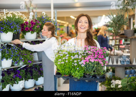 Caisse de transport fleuriste sourire plein de plantes à fleurs en boutique Banque D'Images