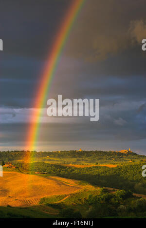 Avec arc-en-ciel célèbre cyprès au coeur de la Toscane, près de Pienza, Italie Banque D'Images