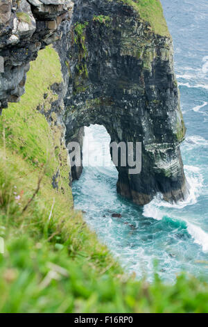 Les falaises de Moher le long de la manière sauvage de l'Atlantique sur la côte ouest de l'Irlande Banque D'Images