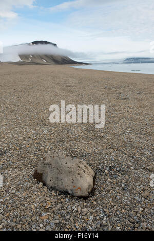 La Norvège, mer de Barents, Svalbard, Nordaustlandet, (Palanderbukta Zeipelodden Palander Bay),. Paysage de désert arctique rocailleuse. Banque D'Images