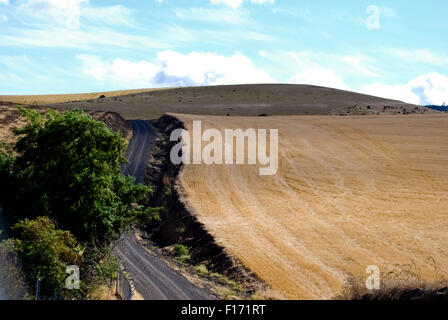 Les collines et les champs de la vallée de Walla Walla, Washington USA de l'Est Banque D'Images