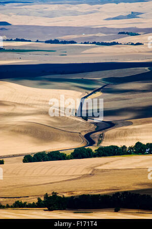 Les collines et les champs de la vallée de Walla Walla, Washington USA de l'Est Banque D'Images