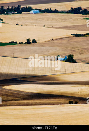 Les collines et les champs de la vallée de Walla Walla, Washington USA de l'Est Banque D'Images