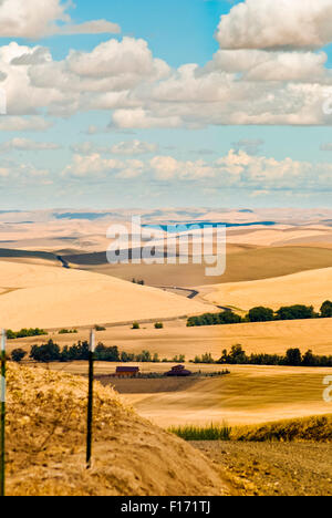 Les collines de la vallée de Walla Walla, Washington USA de l'Est Banque D'Images