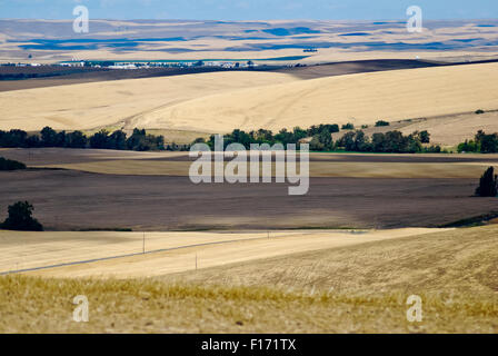 Les collines de la vallée de Walla Walla, Washington USA de l'Est Banque D'Images