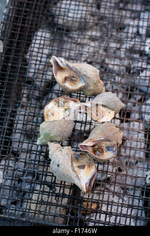 Escargot de mer Sazae sur barbecue Banque D'Images