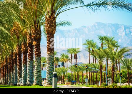 Palms Coachella Valley Road. L'autoroute 111 à Indian Wells, en Californie, USA. Banque D'Images