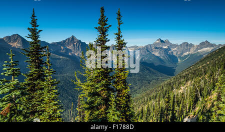 Une scène de la chaîne de montagnes des Cascades du Nord vu depuis le Pacific Crest Trail dans le nord de l'État de Washington Banque D'Images